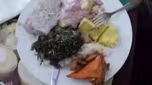 Local Experiences of the Uganda Nutrition Action Plan in Lira District: Challenges and Lessons for Policy Implementation