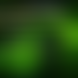 ¿Cómo saber si un motor es compatible con tu coche? Guía completa 2026