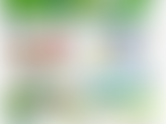 島暮らし、陶芸家、猫、屋久島、日常、ほのぼの、窯焚き、親子、漫画、日記、エッセイ