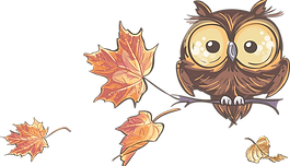 %E2%80%94Pngtree%E2%80%94maple%20leaf%20