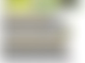 La Importancia del detox en el cuerpo Humano