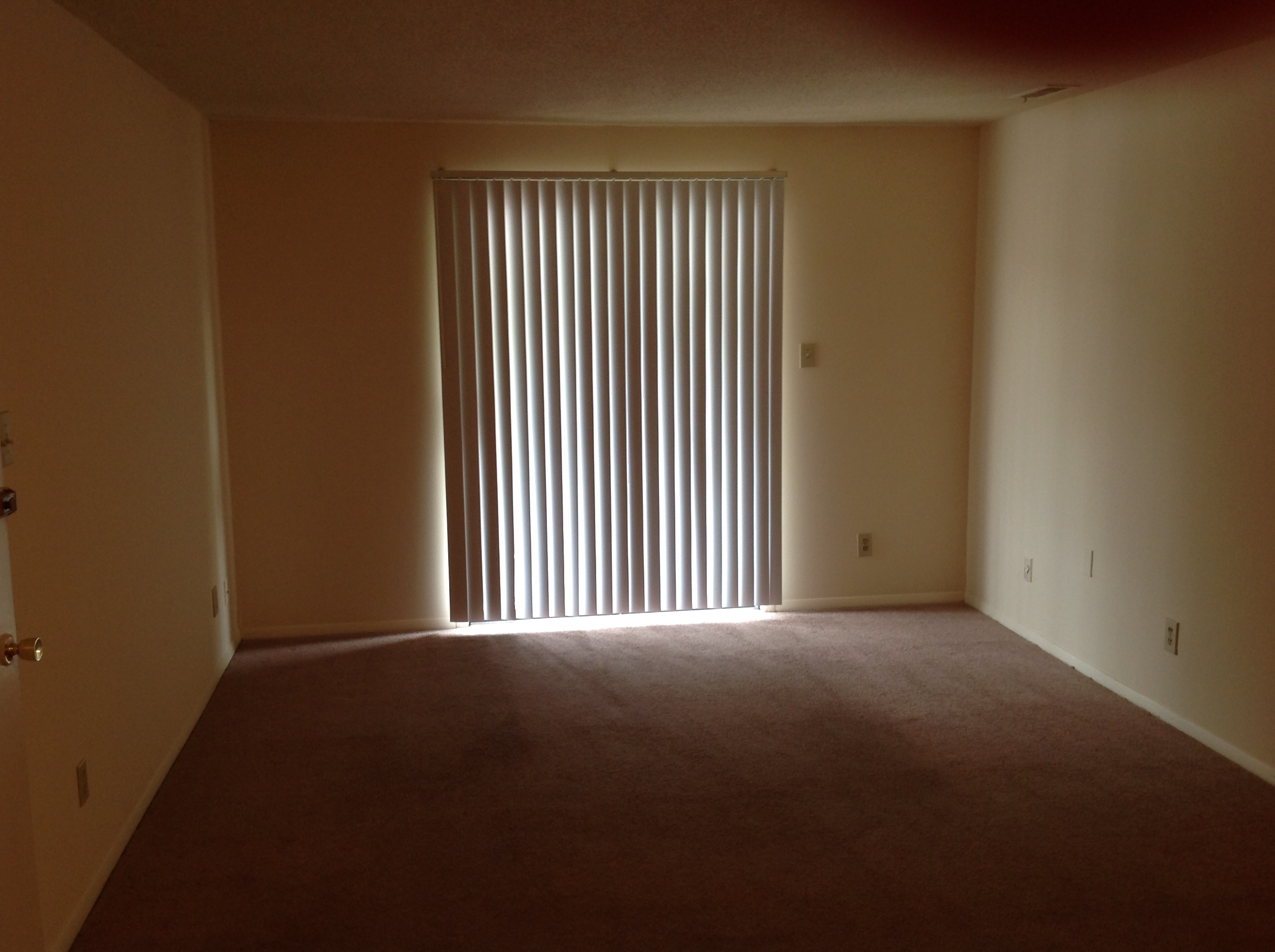 PHOTOS mountaintrace