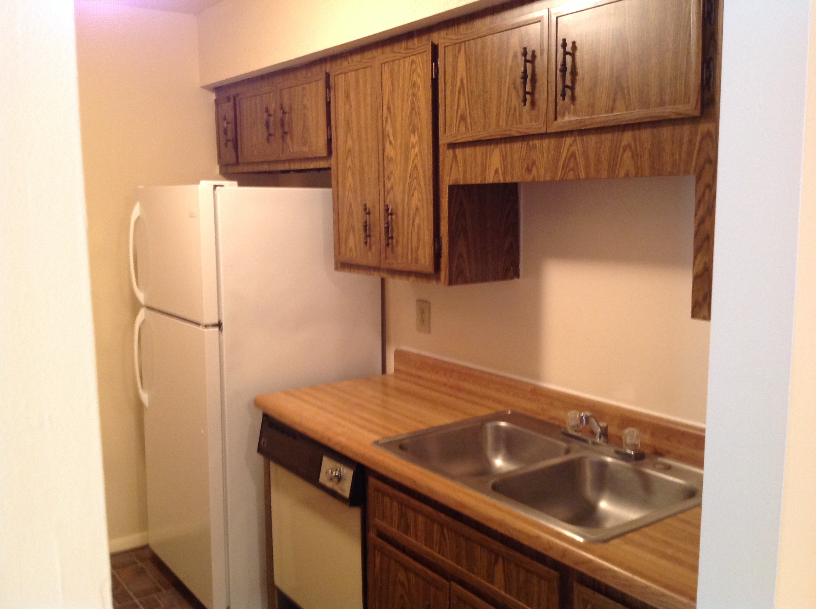 PHOTOS mountaintrace