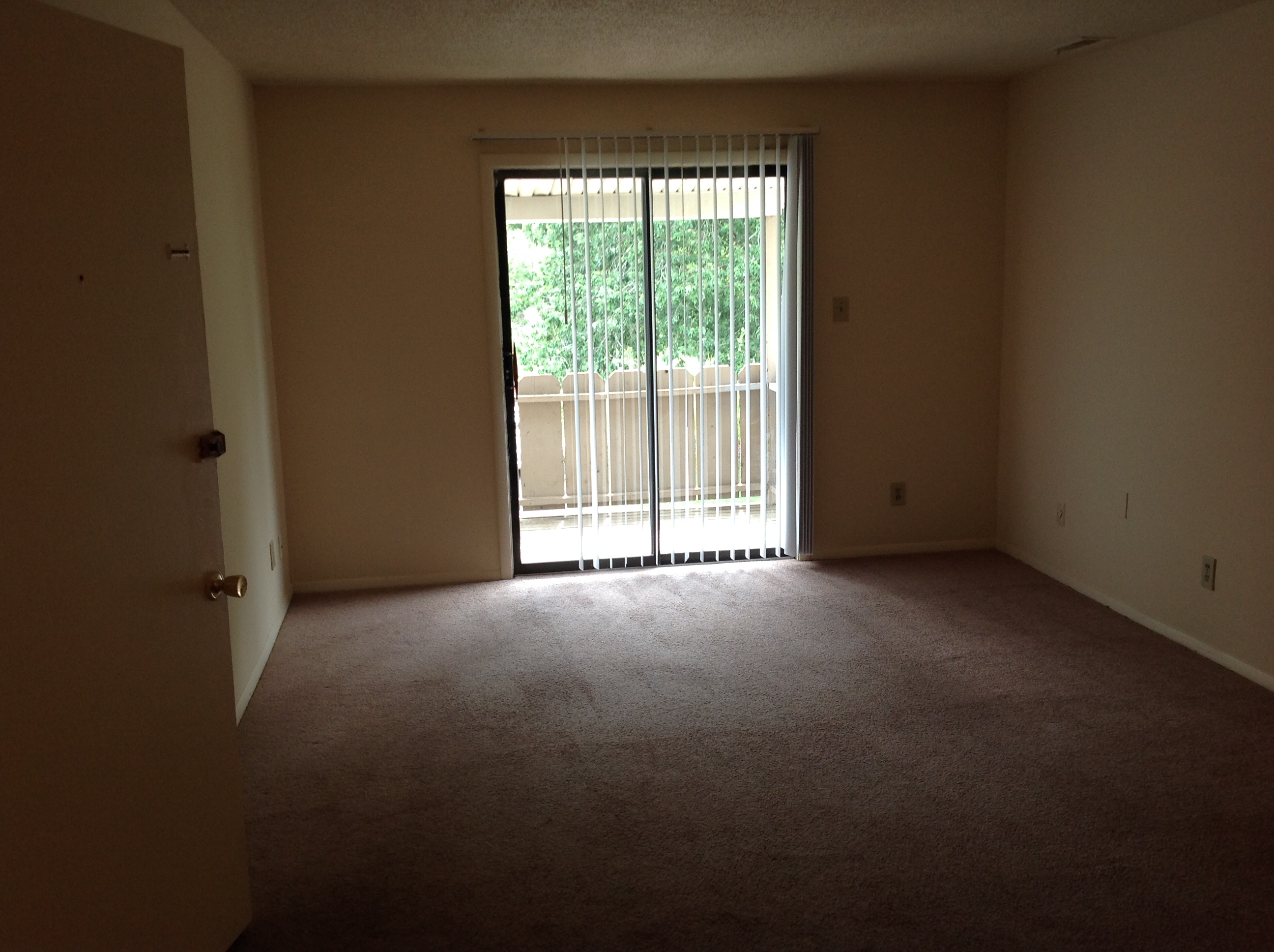 PHOTOS mountaintrace