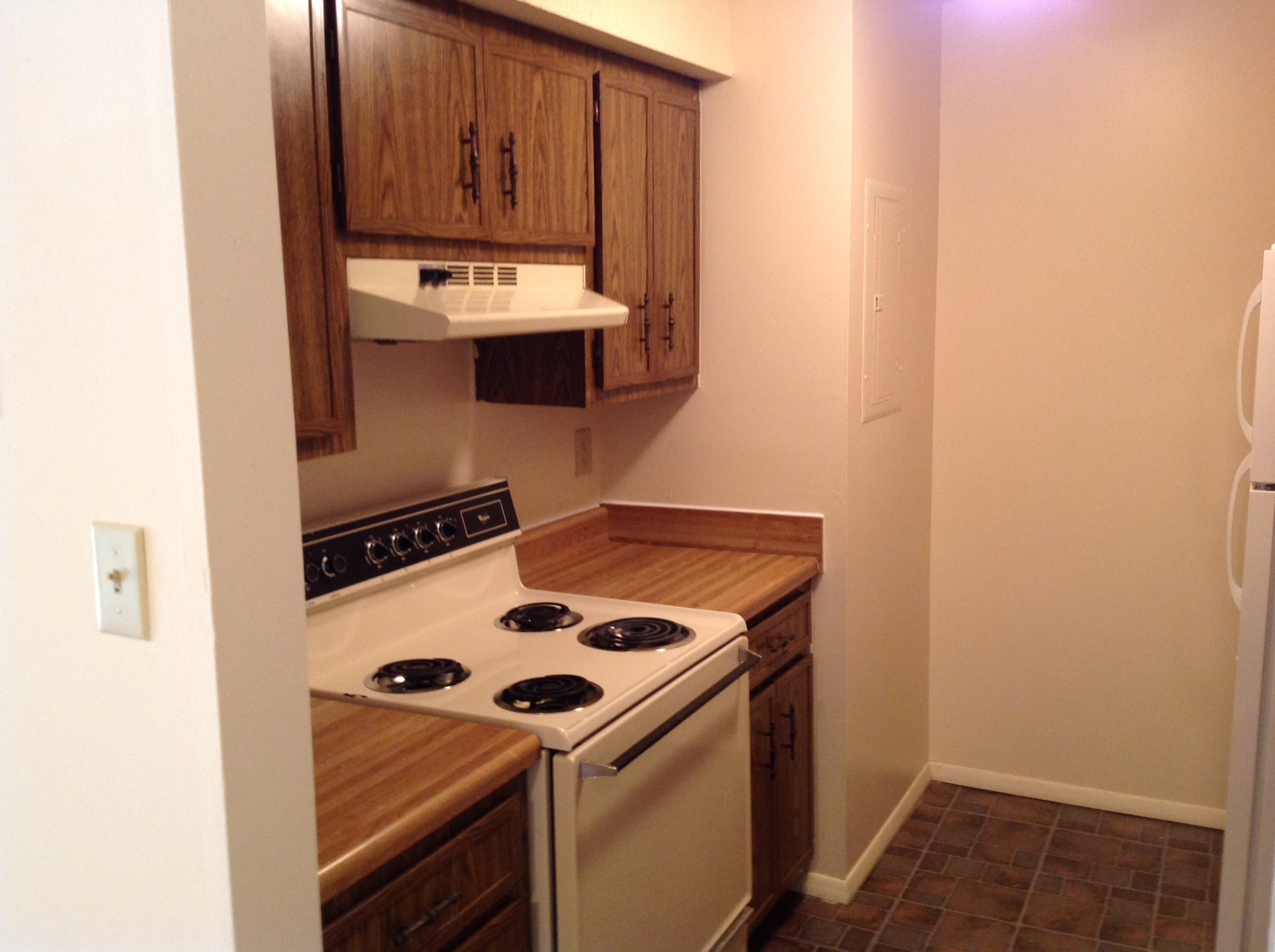 PHOTOS mountaintrace