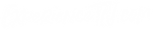 experiencetn.com logo new.png