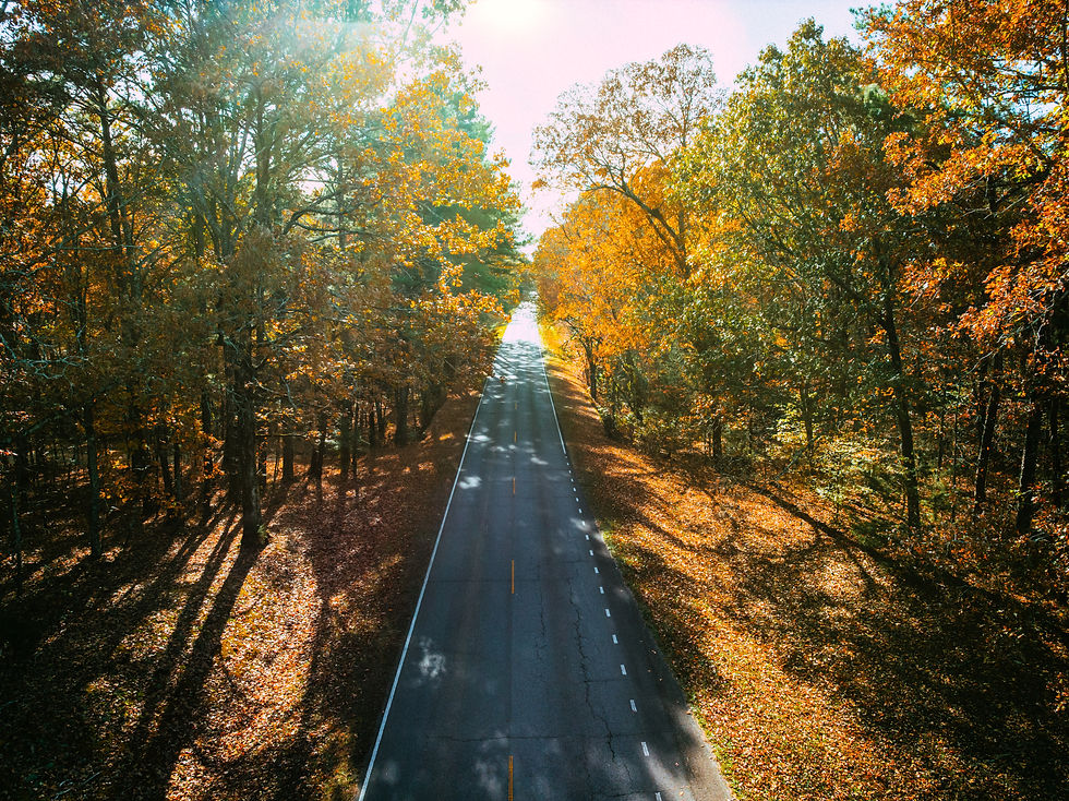 Natchez Trace_AerialWayne County (2).jpg