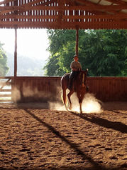 Wolf Creek Ranch Highlights Horses, History, and Hospitality in Hickman County