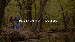 Explore the Historic Natchez Trace
