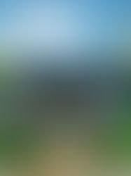 Pretty Old Places: Lanier-Smith Farm Series Part 1