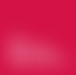 What is The Royal Society?