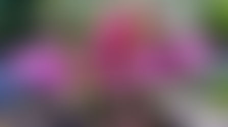 Changeable Weather and Planting Plans