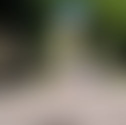 Свято останнього дзвоника 