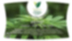 ORGANIC HAND MADE HEMP SOAP