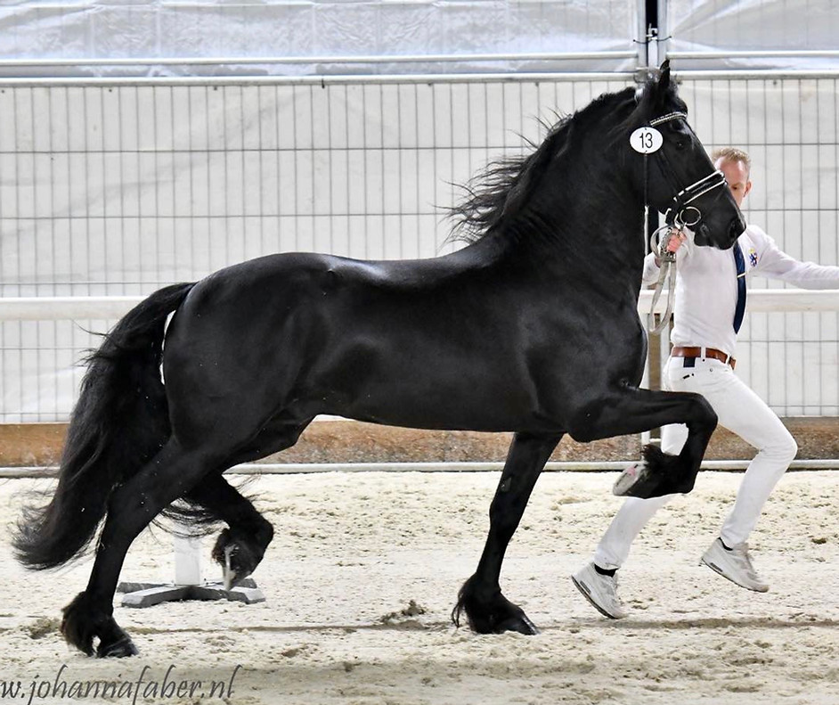 Cor the King aka Cor B.