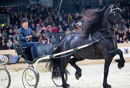 Dante driving 2019.JPG