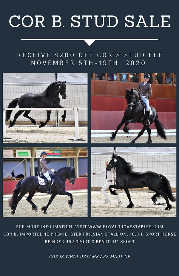 Blue Collage Simple Open House Flyer (2)
