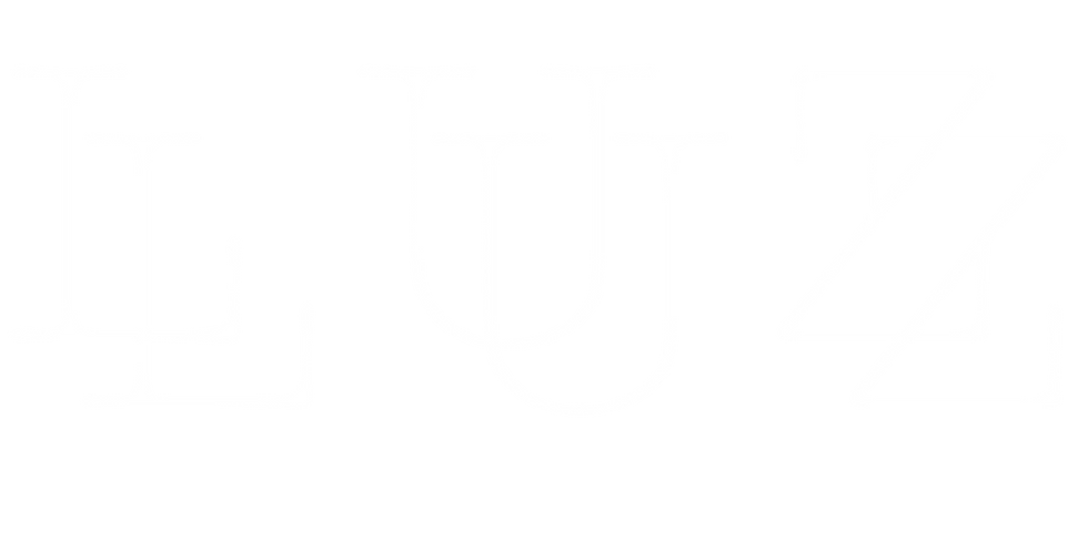 Logo Luz Blanc.png