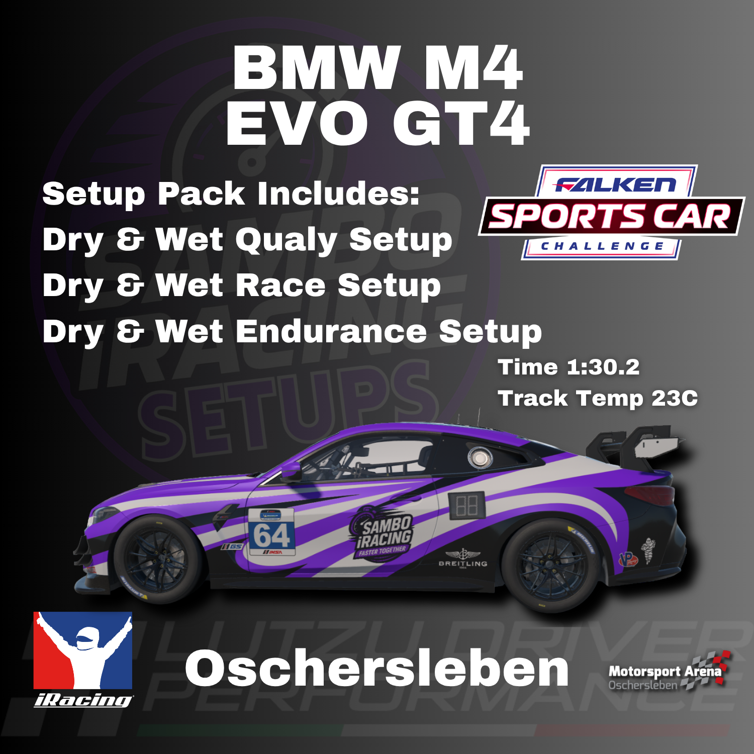 BMW M4 GT4 Oschersleben iRacing Setups