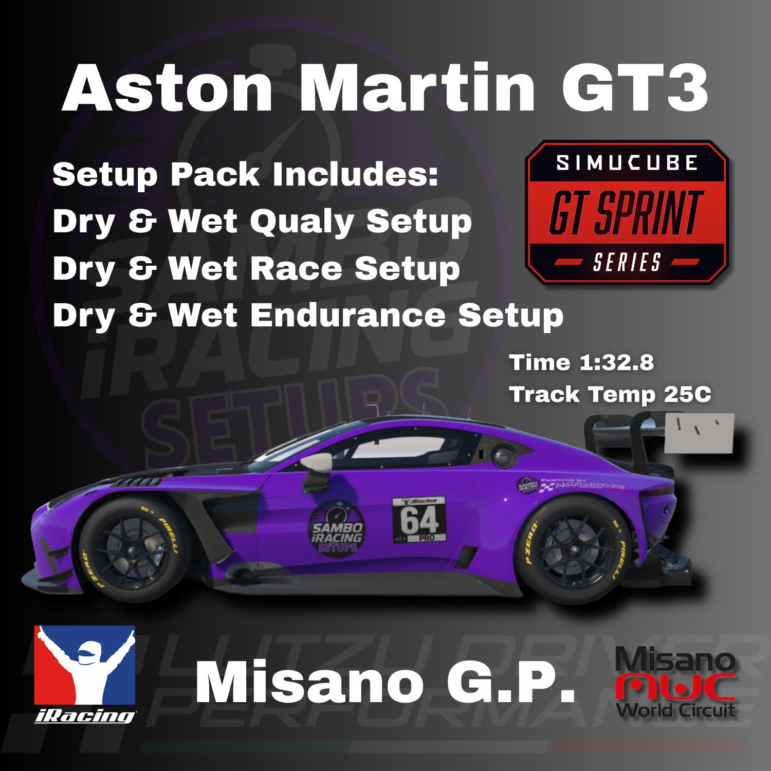 Aston Martin GT3 Misano iRacing Setups