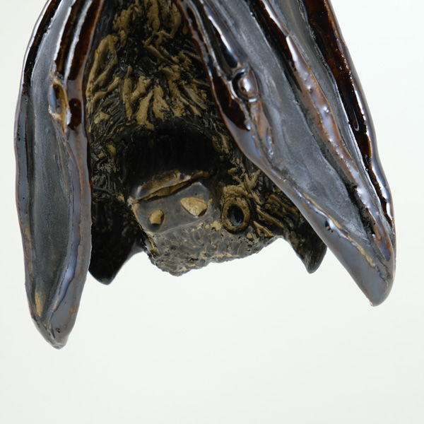Thumbnail: Roosting Bat