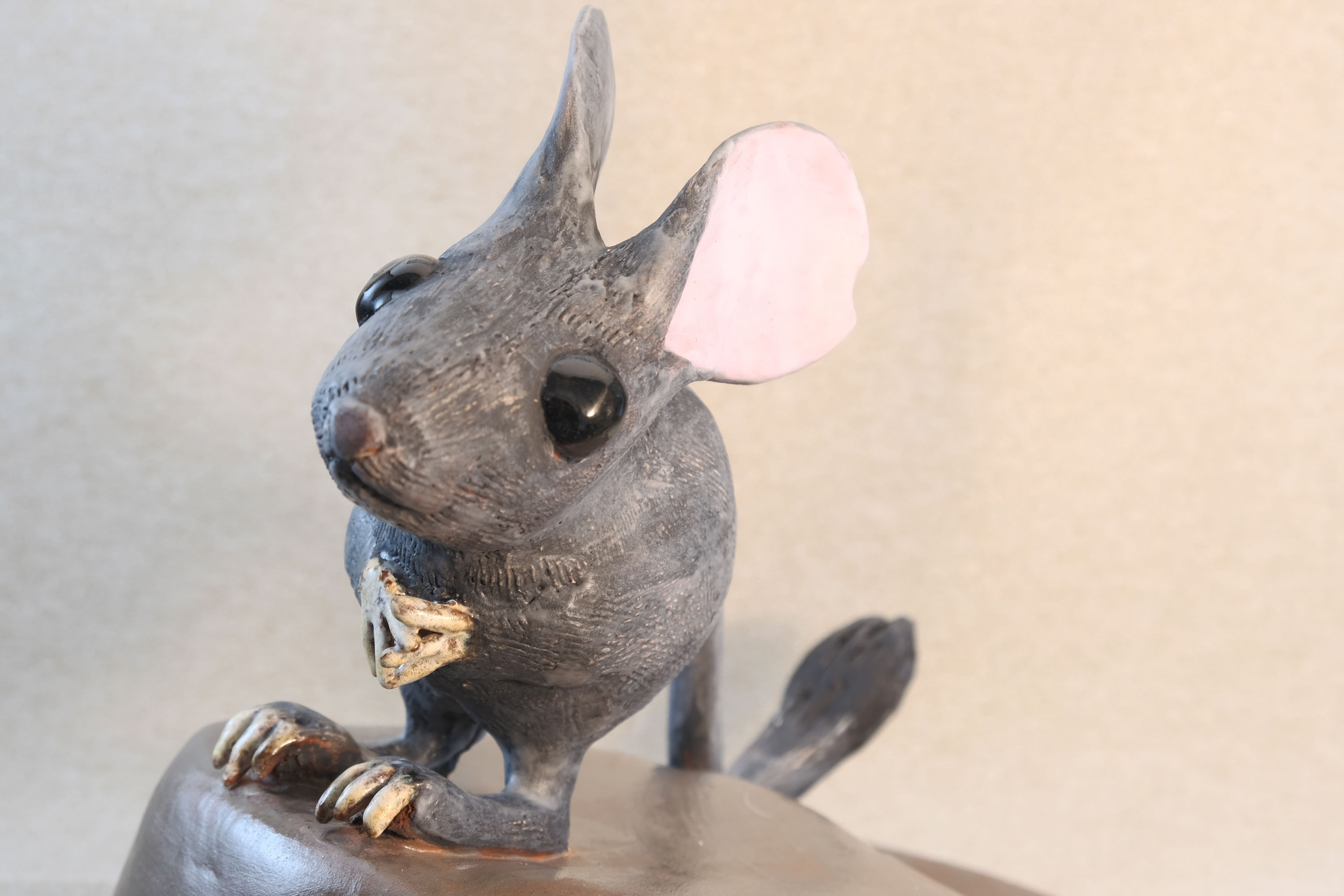 Desert Sand Mouse