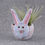 Thumbnail: blue bunny planter smiling with big ears