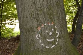 Waldspiele als Beziehungsarbeit