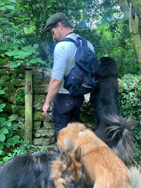 man with backpack walking with dogs