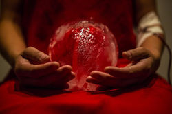 Aquecemos corações a sangue frio