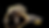 unnamed (1).png