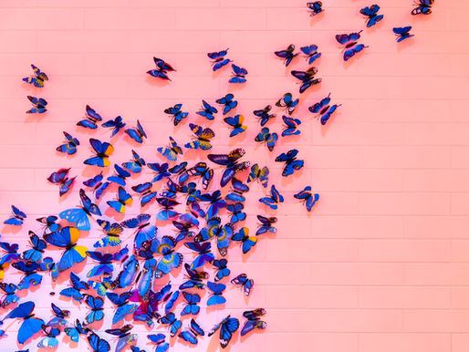Papillonner en toute sécurité
