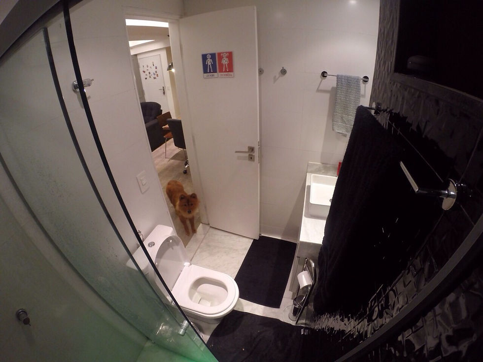 Apartamento Portfólio 03 - Imagem 12