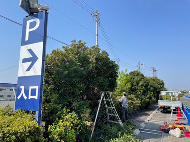 駐車場の支障枝の剪定　～今日の現場写真vol.99～