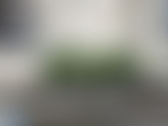 マンションの植栽剪定 ~今日の現場写真vol.172~