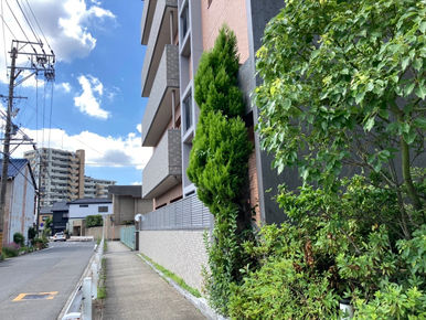 マンション植栽剪定・添木交換　～今日の現場写真vol.164～