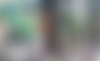 Na descida todo santo é Judas