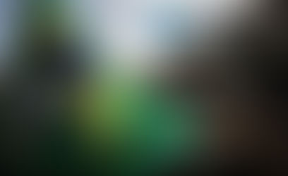 Compaixão, corrupção e Estado: dois rumos em confronto e uma invenção sob risco