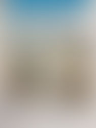 Especial sobre o Campo de Públicas