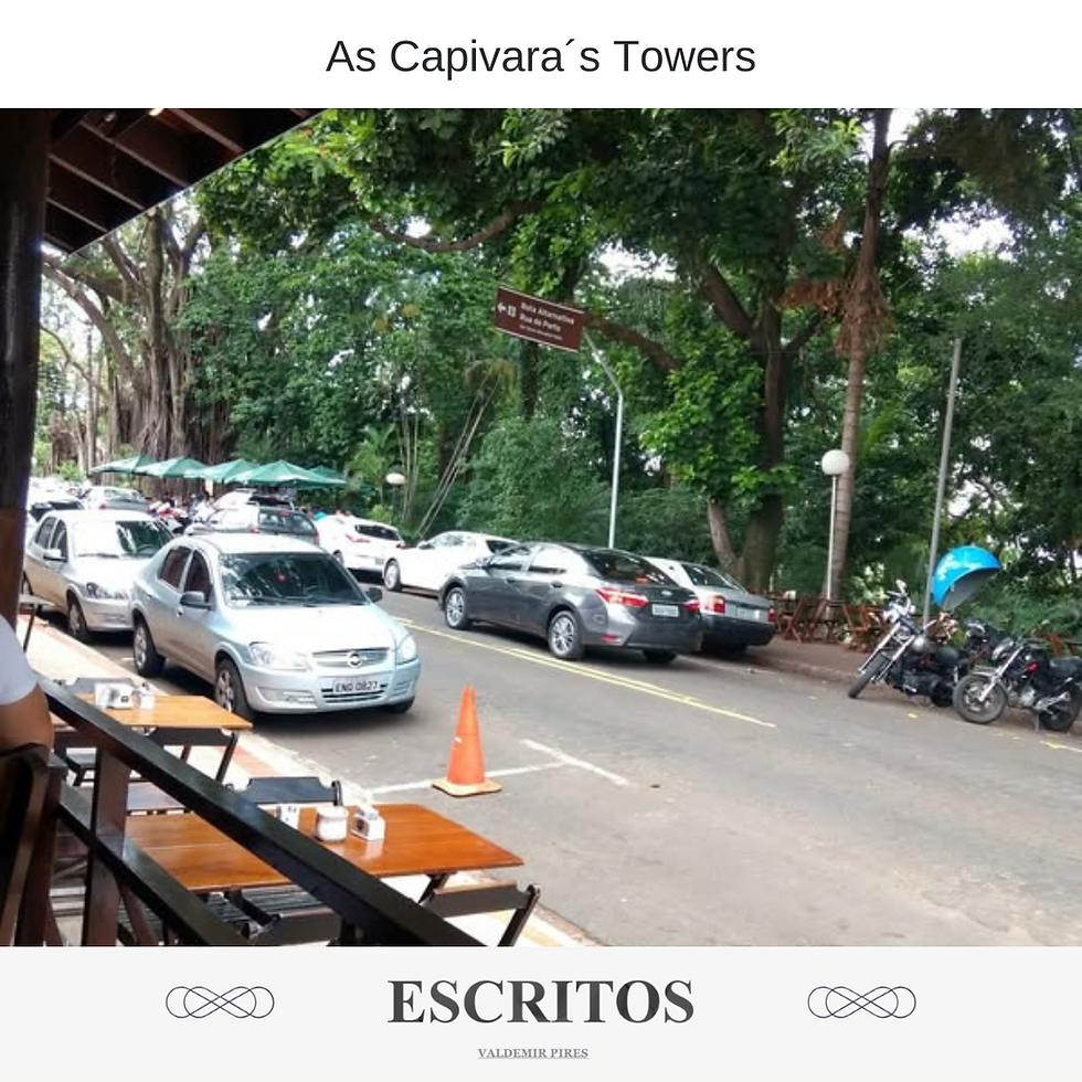 As Capivara´s Towers