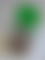 Quando o ponteiro do tempo histórico avança