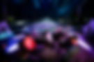 _1024387.jpg
