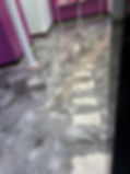 IMG_1767.jpeg