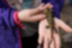 Fotoss QEM WEBSITE-425.jpg