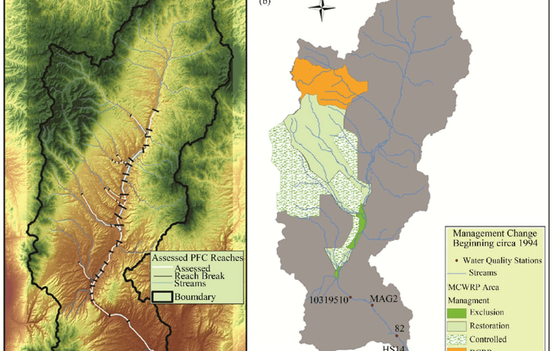PFC Stream Reaches Assessed Along Maggie.png