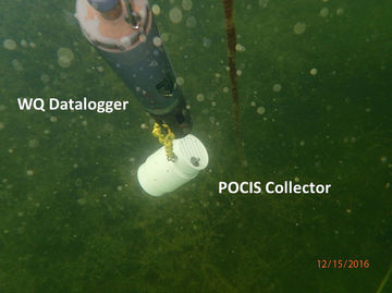 Photograph-of-the-in-situ-YSI-EXO2-datasonde-attached-to-the-vegetated-island-with-the.jpe
