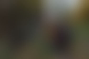 СТАРТОВАЛА РАБОТА НАД ПРОЕКТОМ "УРОК"