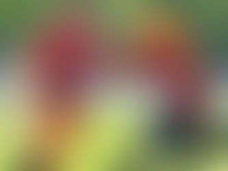 DFF Fantasy Postseason RND1&2