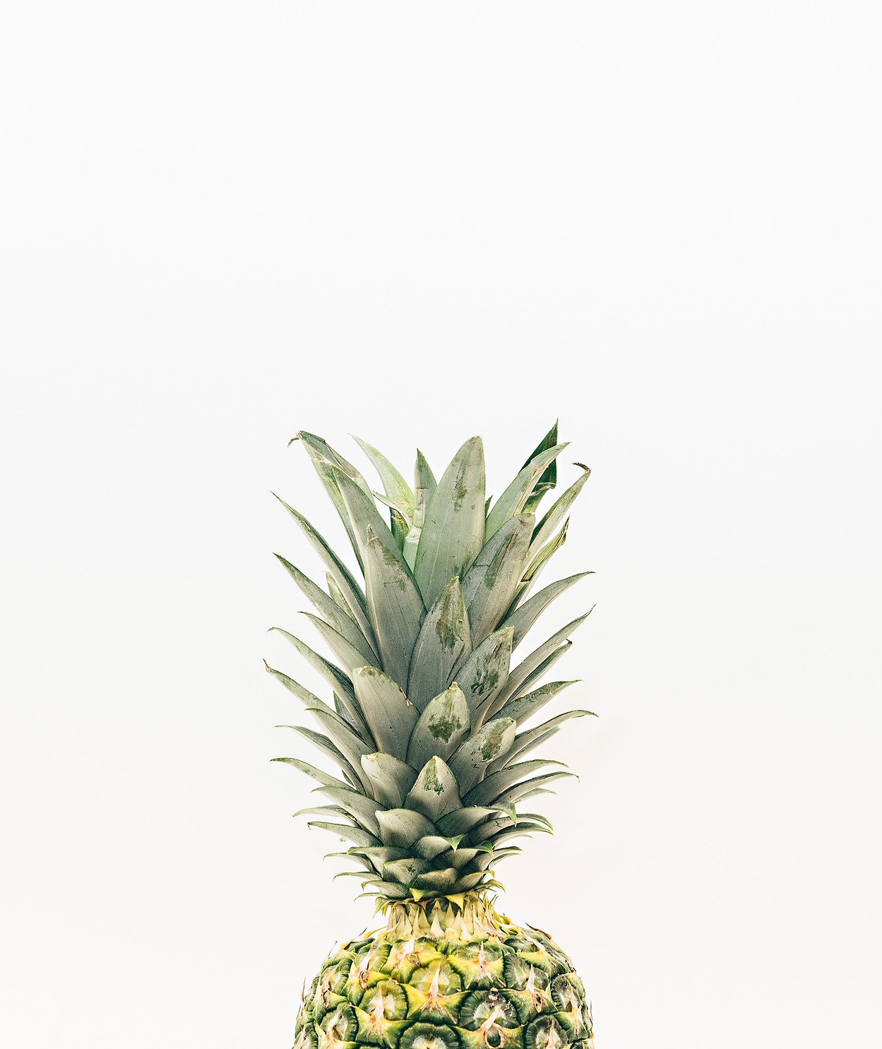 pineapple-supply-co-262624-unsplash.jpg