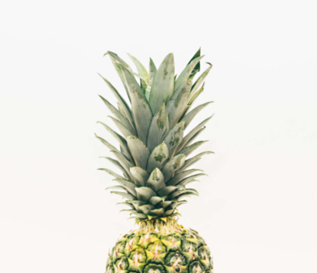 pineapple-supply-co-262624-unsplash.jpg